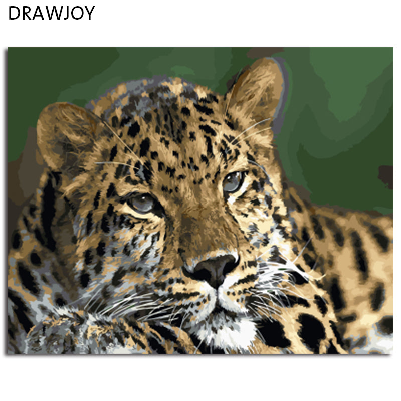 DRAWJOY Framed Animal Leopard DIY Painting By Numbers On Canvas Painting And Calligraphy Wall Art For Home Decor 40x50