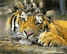 Load image into Gallery viewer, DRAWJOY Framed Animal DIY Painting By Numbers Wall Art DIY Canvas Oil Painting Home Decor For Living Room 40*50cm
