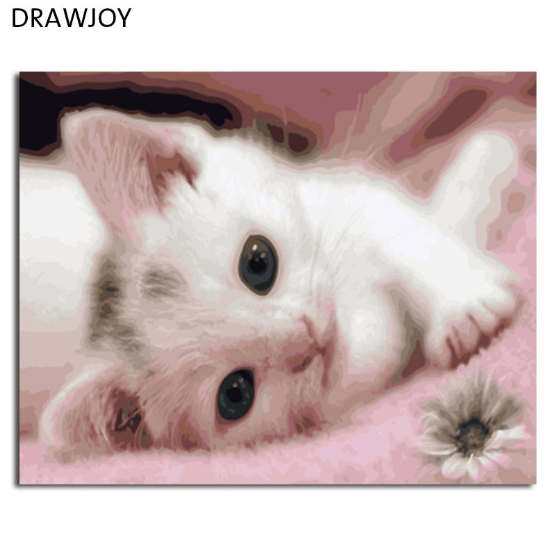 DRAWJOY Framed Picture Painting & Calligraphy Of Lovely Animals  DIY Painting By Numbers Coloring By Numbers