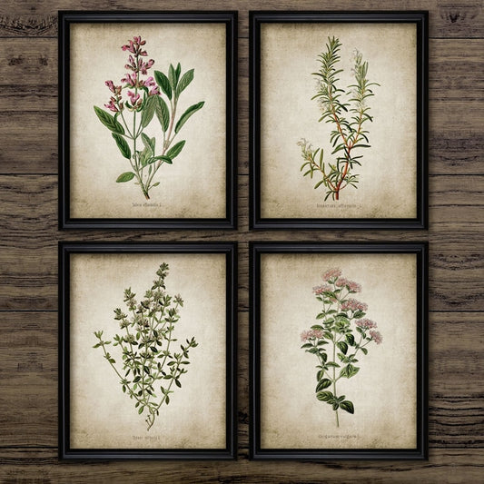 Vintage Herb Art Canvas Poster And Prints , Oregano Rosemary Sage Thyme Canvas Painting Retro Wall Pictures Home Art Wall Decor