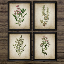 Load image into Gallery viewer, Vintage Herb Art Canvas Poster And Prints , Oregano Rosemary Sage Thyme Canvas Painting Retro Wall Pictures Home Art Wall Decor

